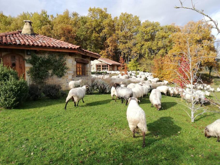 Guikuri Octogono Casa Rural 1, 2 Y 3Pax Murua Exterior foto